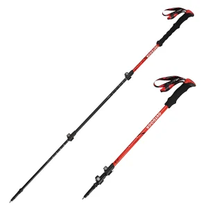 Bastoni da passeggio trekking