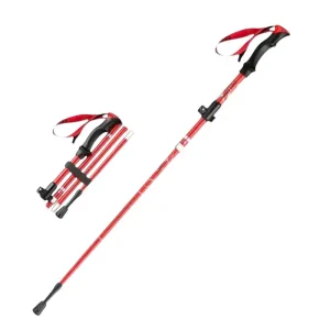Bastoni in alluminio trekking